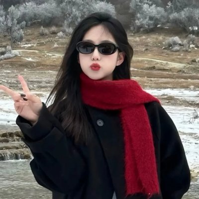 中国诗词大会第四季